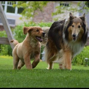 Meet your Posher, Kathleen